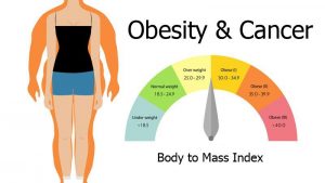 Research: Obesity is also causing Cancer