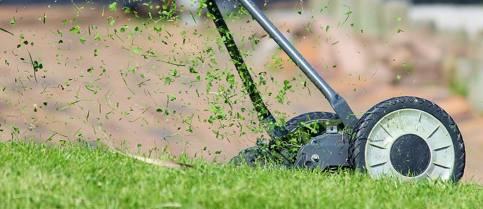 lawn mowing app like uber