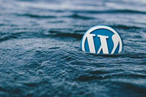 Which Plugins Are Mandatory for Custom WordPress Development Services?