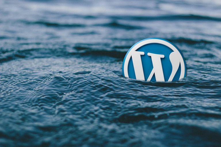 Which Plugins Are Mandatory for Custom WordPress Development Services?