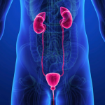 top facts about urology