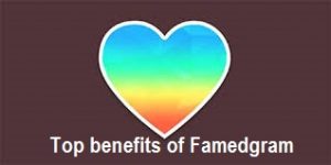 Top Benefits of Famedgram