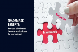 Want to apply for trademark online? Here is the process in a nut shell.