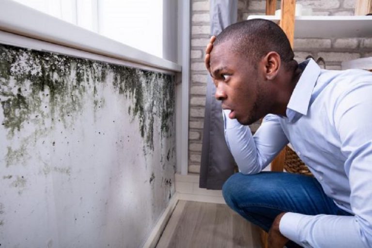 CAN AIR DUCT CLEANING REMOVE MOLD?