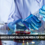 cell culture media