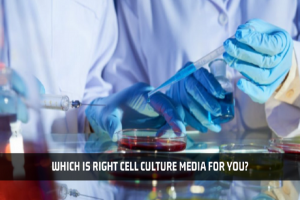 Which Is Right Cell Culture Media for You?
