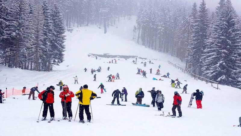Best Places to Visit in Winter in Himachal