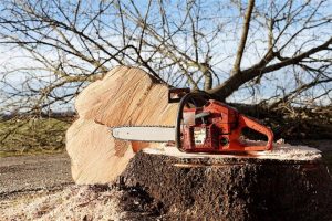 Chainsaws – The Different Types and Features Explained