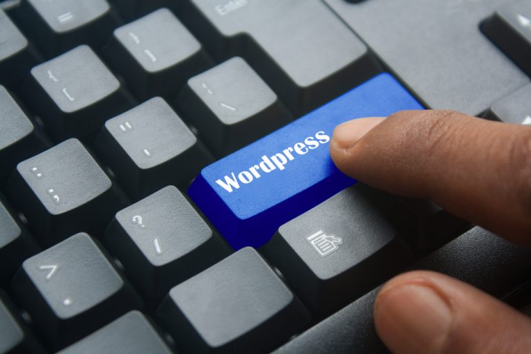 10 Tips to make successful Word Press e-commerce Business