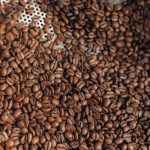 Brazil coffee beans