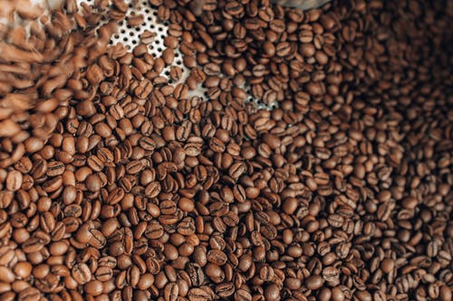 Brazil coffee beans