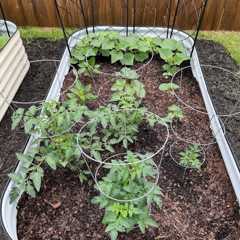 modular raised garden bed