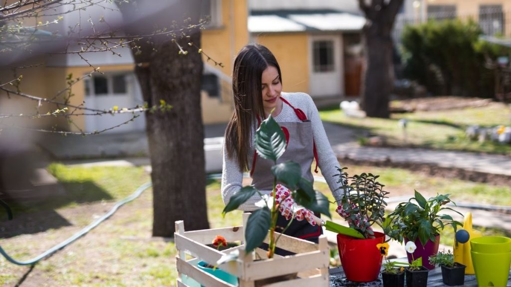 significant changes in garden