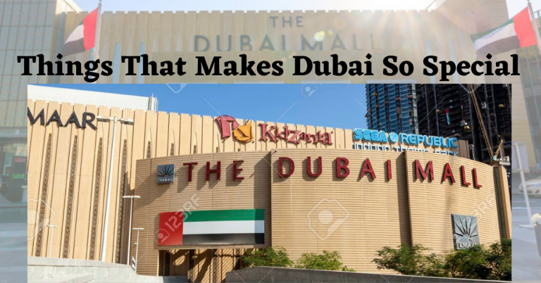 Things That Makes Dubai So Special