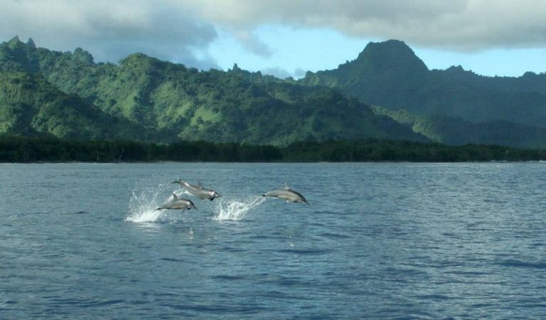 7 incredible Places in Kosrae?