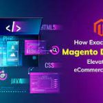 magento developer