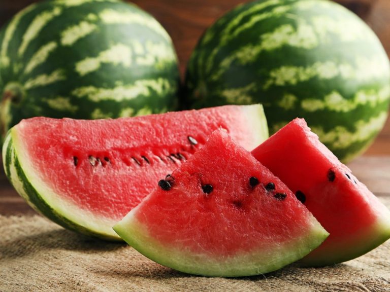 Melons Cultivation in India – Step By Step Guidelines