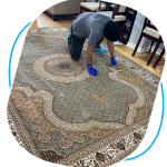 Professional Captain Carpet Cleaning