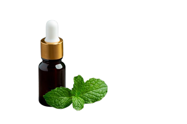 Peppermint Oil: Is it really helpful to get rid of skin diseases?