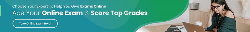 University Assignment Help