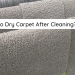 carpet cleaning