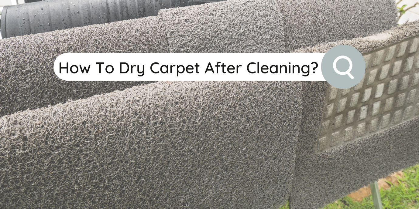 carpet cleaning