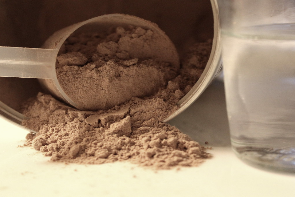 protein isolate