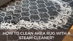 How To Clean Area Rug With A Steam Cleaner?