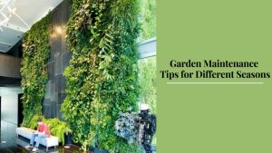 Garden Maintenance Tips for Different Seasons