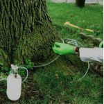 best tree healthcare services