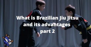 Brazilian Jiu Jitsu – A brief Introduction Part2