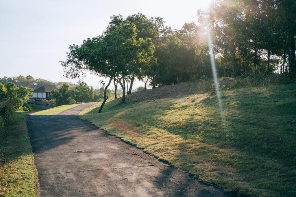 Kennedy Wild Bird Feed