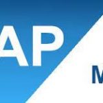 SAP Materials Management