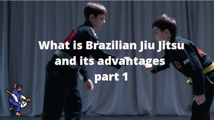 Brazilian Jiu Jitsu – A brief Introduction Part1