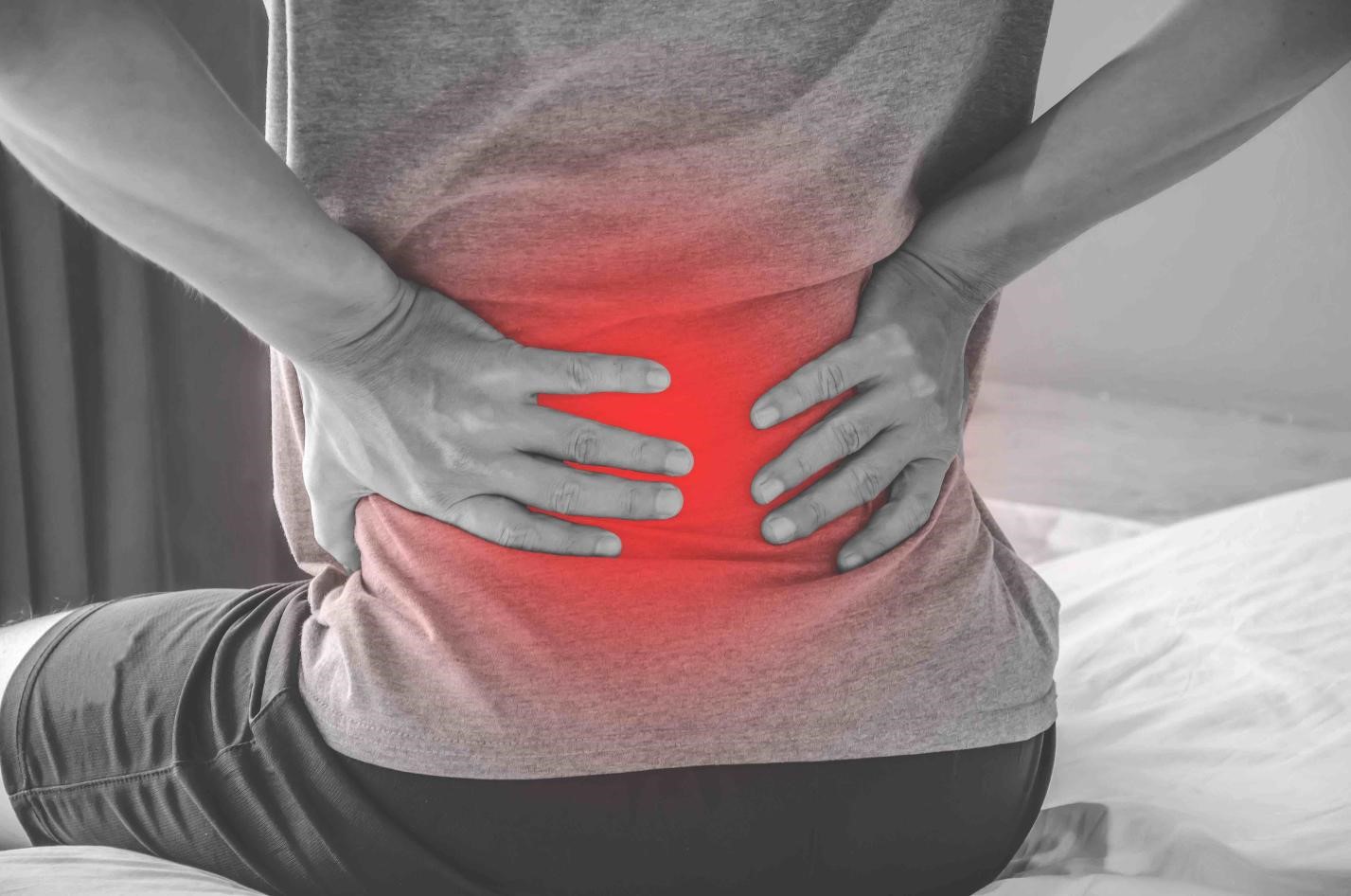 back pain doctor in Spring Hill