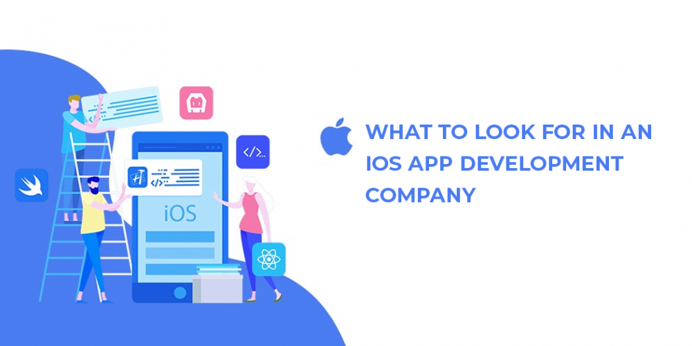 web development company in usa