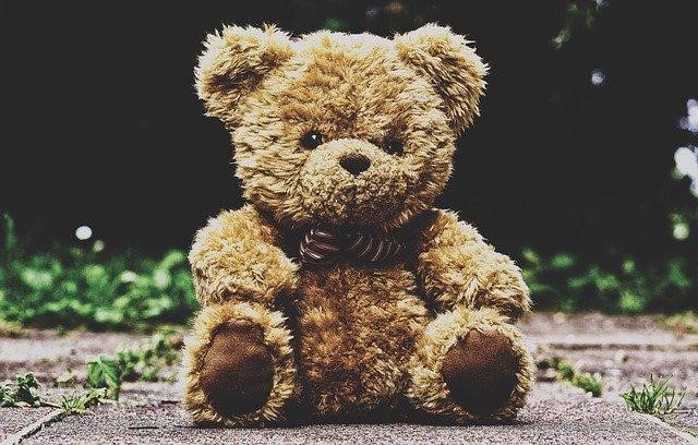 Why Are Teddy Bears Still Special?
