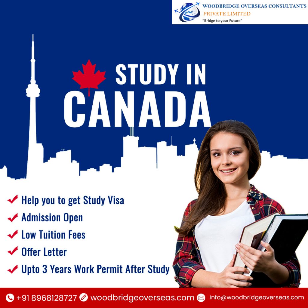 study abroad consultants in Chandigarh