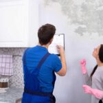 mold removal specialist