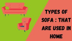 Types Of Sofa: That are used in Home