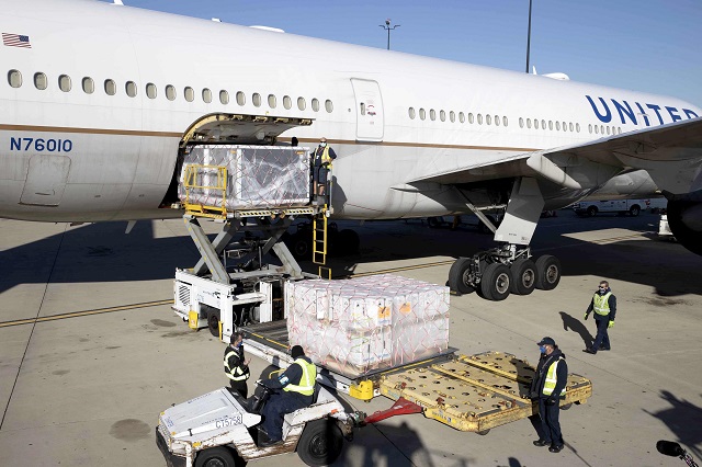 Everything You Should Know About Air Freight Transport