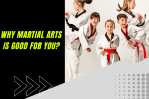 Why Martial Arts Is Good For You?