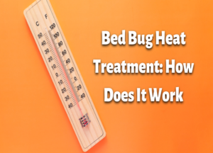 Bed Bug Heat Treatment: How Does It Work?