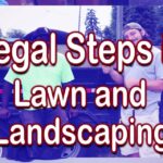 lawn and landscaping