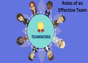 What are the 5 Roles of an Effective Team?