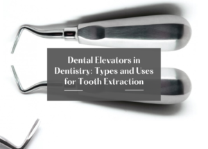 Dental Elevators in Dentistry: Types and Uses for Tooth Extraction