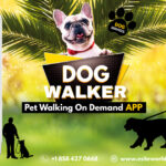 uber for dog walking app