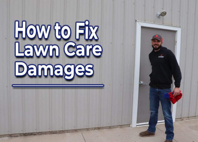 Lawn Care Damages and How to Fix Them