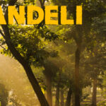 dandeli tour packages