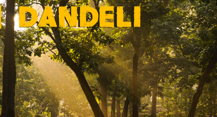 dandeli tour packages